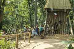 Exciting adventure playground set in a woodland park.
