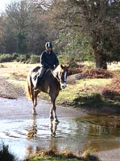 Horse rider, Fletchers Water
