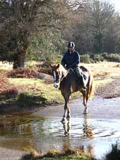 Horse rider, Fletchers Water