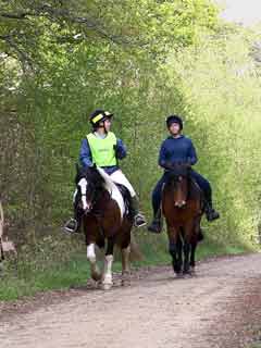 Horse riders in woodland