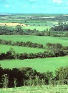 Well-hedged farmland
