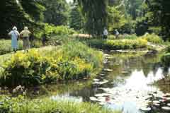 The celebrated Longstock Water Gardens in Hampshire, part of the large estate owned by the John Lewis Partnership.