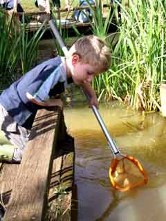 Pond dipping (Image courtesy of Eastleigh Borough Council)
