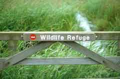 Wildlife refuge at the RSPB's Somerset Levels nature reserve.