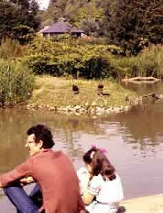 Family enjoying close contact with wildlife at the Wildfowl and Wetlands Trust reserve at Arundel.
